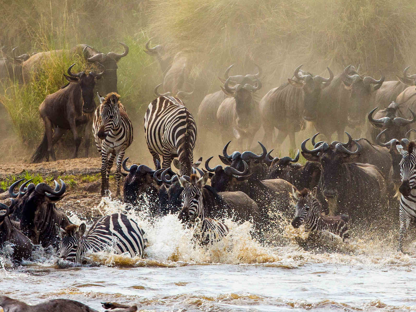 Great Migration