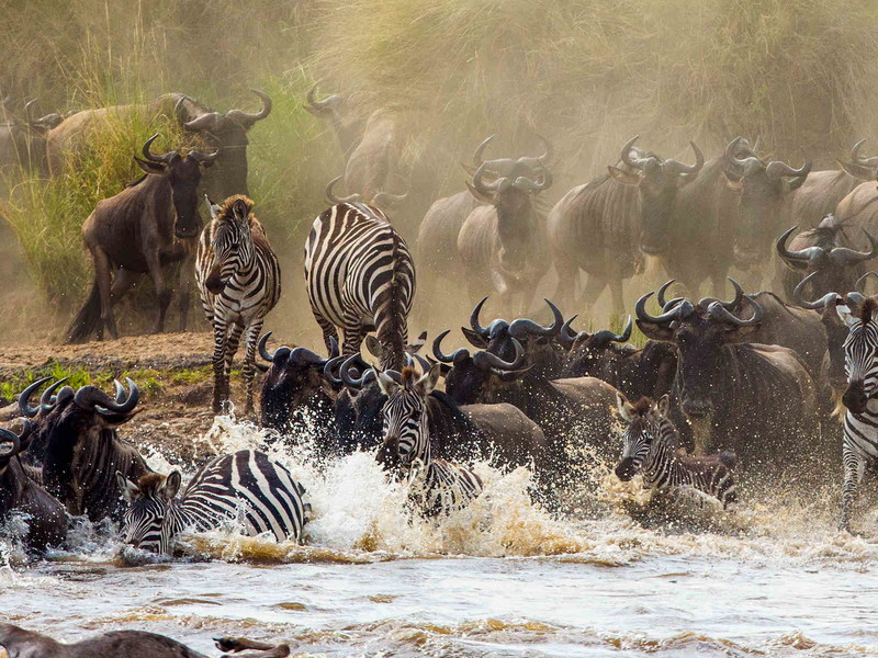 Great Migration