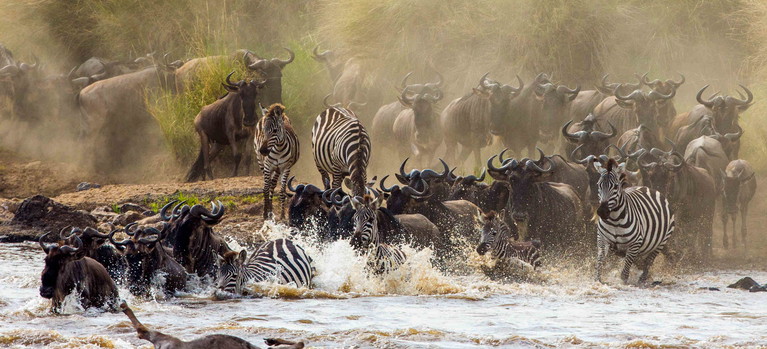 Great Migration