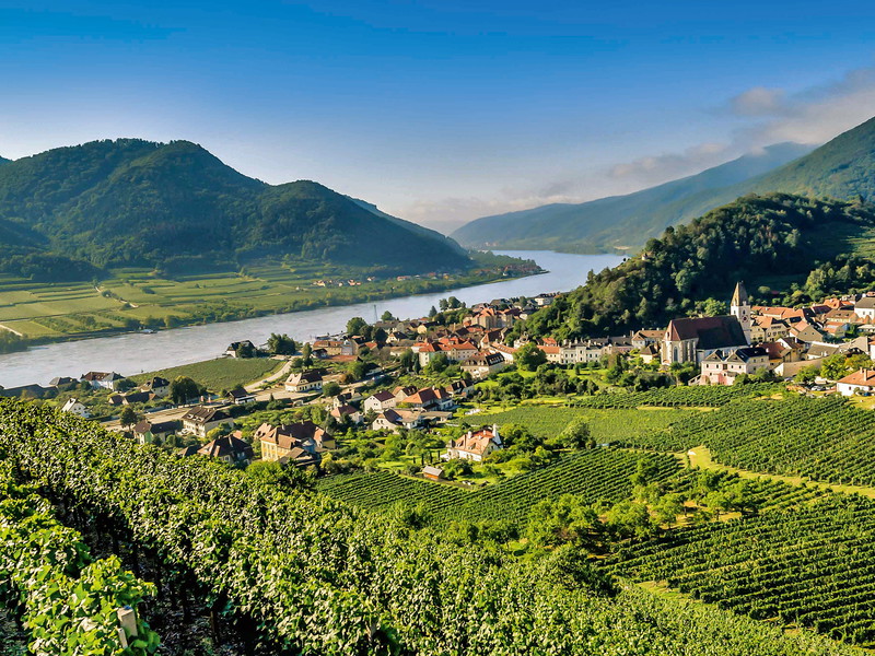 Der Weinort Spitz schmiegt sich an den Tausendeimerberg.