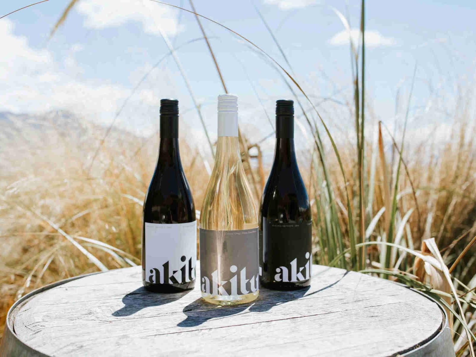 The Akitu trio of new releases