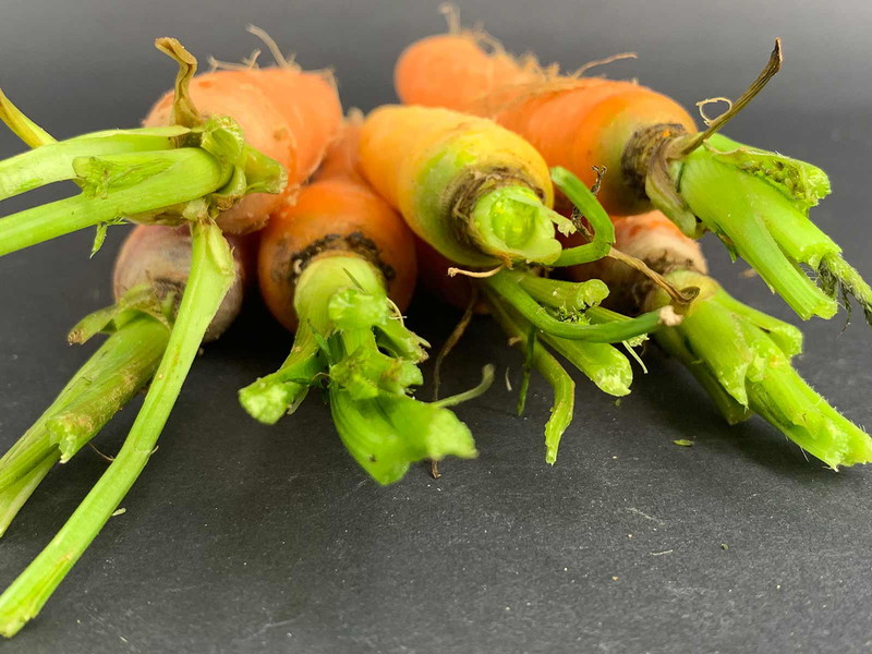 Food waste is the subject of controversial discussions.&nbsp;