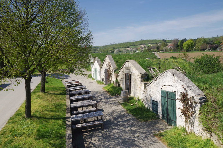 Romantische Szene: Die Kellergasse von Winden lädt zum Verweilen und Verkosten ein.&nbsp;