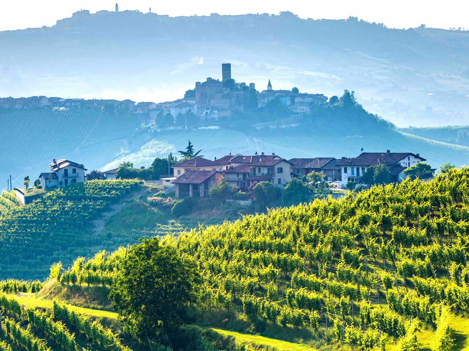 Die Weinregion Barolo in Piemont