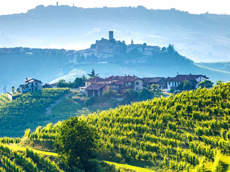 Die Weinregion Barolo in Piemont