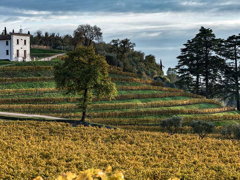 Tenuta Novare von Bertani