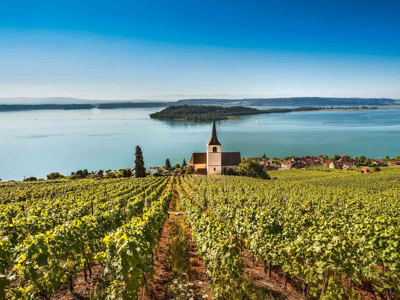 Die Kirche des Winzerdorfs Ligerz mit den Rebbergen im Vorder- und dem See samt St. Petersinsel im Hintergrund.