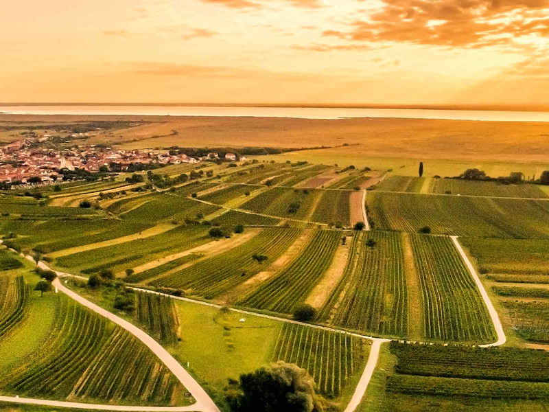 Das nördliche Burgenland mit dem weitläufigen Neusiedlersee bietet den Burgundersorten optimale Reifebedingungen.