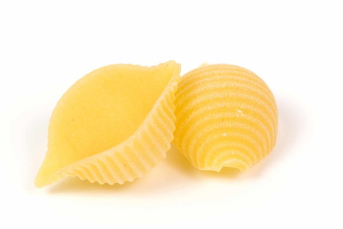 Conchiglie -&nbsp;Muschelförmige Nudeln aus Kampanien in verschiedenen Grössen&nbsp;