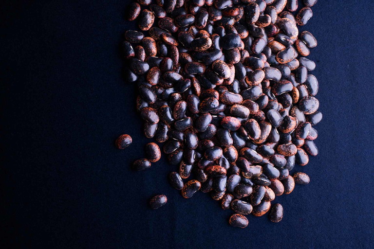 Käferbohne. Nur in der Steiermark heißt die Prunkbohne »Käferbohne«. Ob die Ähnlichkeit der braun gesprenkelten Bohnen mit Käfern der Grund für den Namen war, weiß man nicht. Dass sie gut schmeckt, schon.
