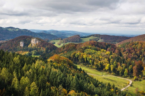 Wenn die Blätter fallen und es herbstlich wird, haben Saucissons in der Schweiz Hochsaison.&nbsp;