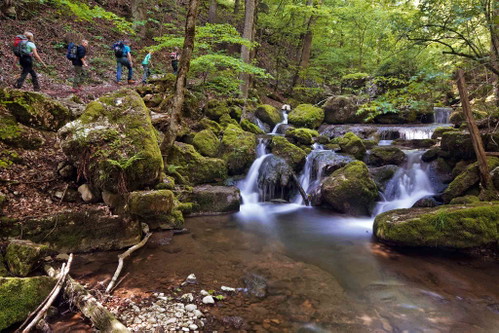 Twannbachschlucht bei Twann am Bielersee.