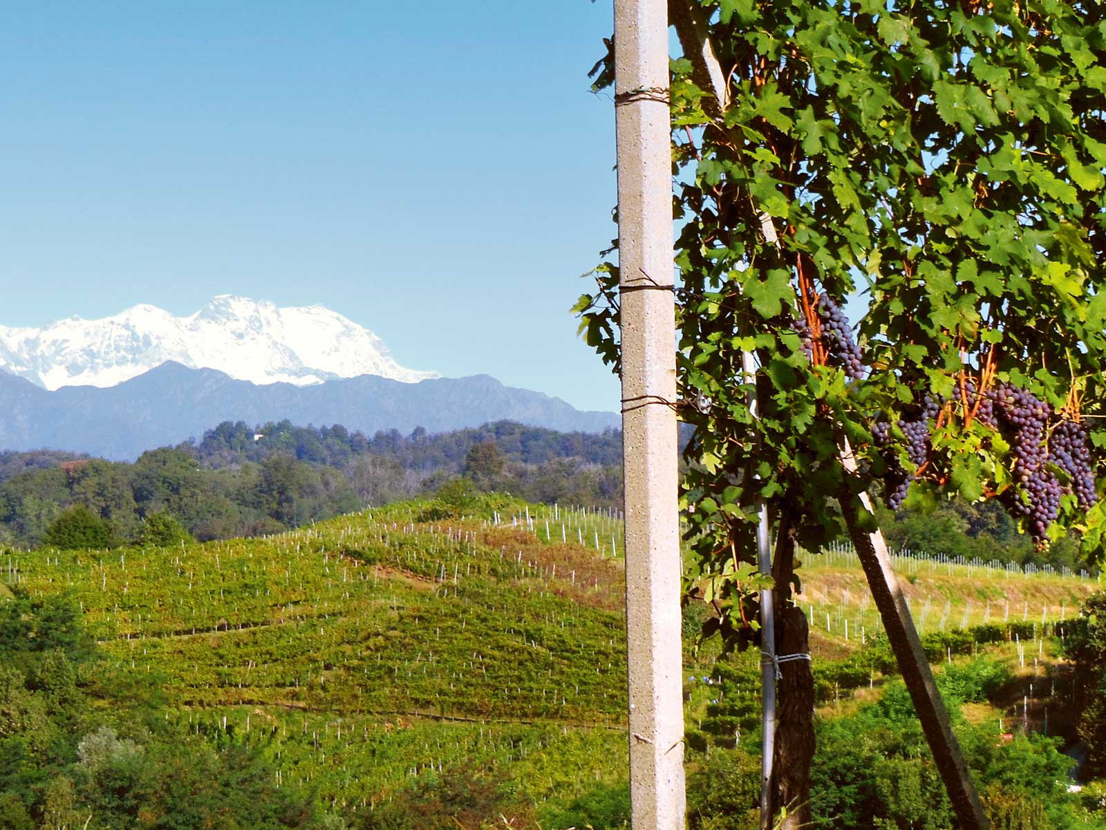 Der Norden des Piemont ist als Weinbauregion wesentlich weniger bekannt als der Süden dieser Region – allerdings um nichts weniger spannend.&nbsp;
