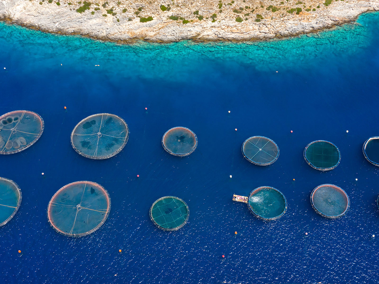 Quality labels provide some&nbsp;basis for decision-making when buying fish.


