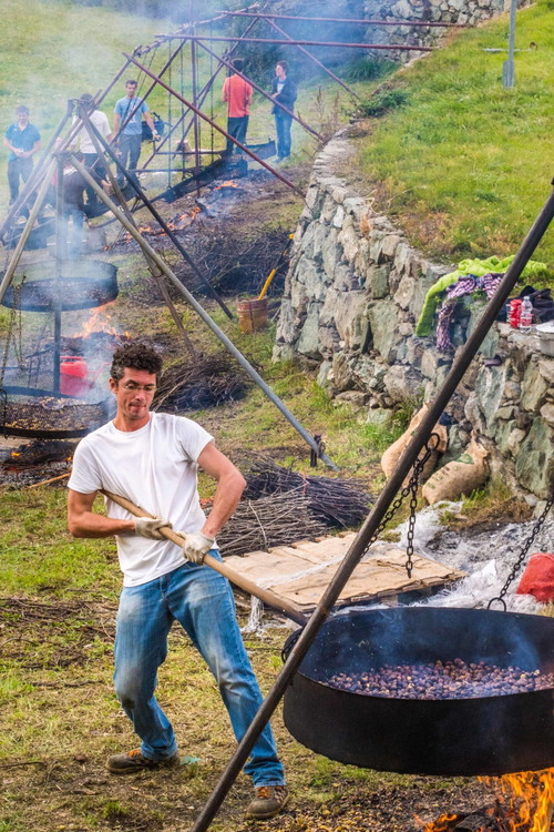 In Italien und Frankreich finden jährlich Marroni-Festivals statt
