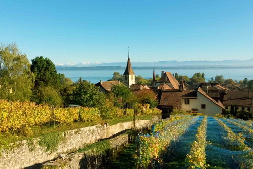 Das Weingut La Maison Carrée von Christine und Jean-Denis Perrochet am Neuenburgersee.
