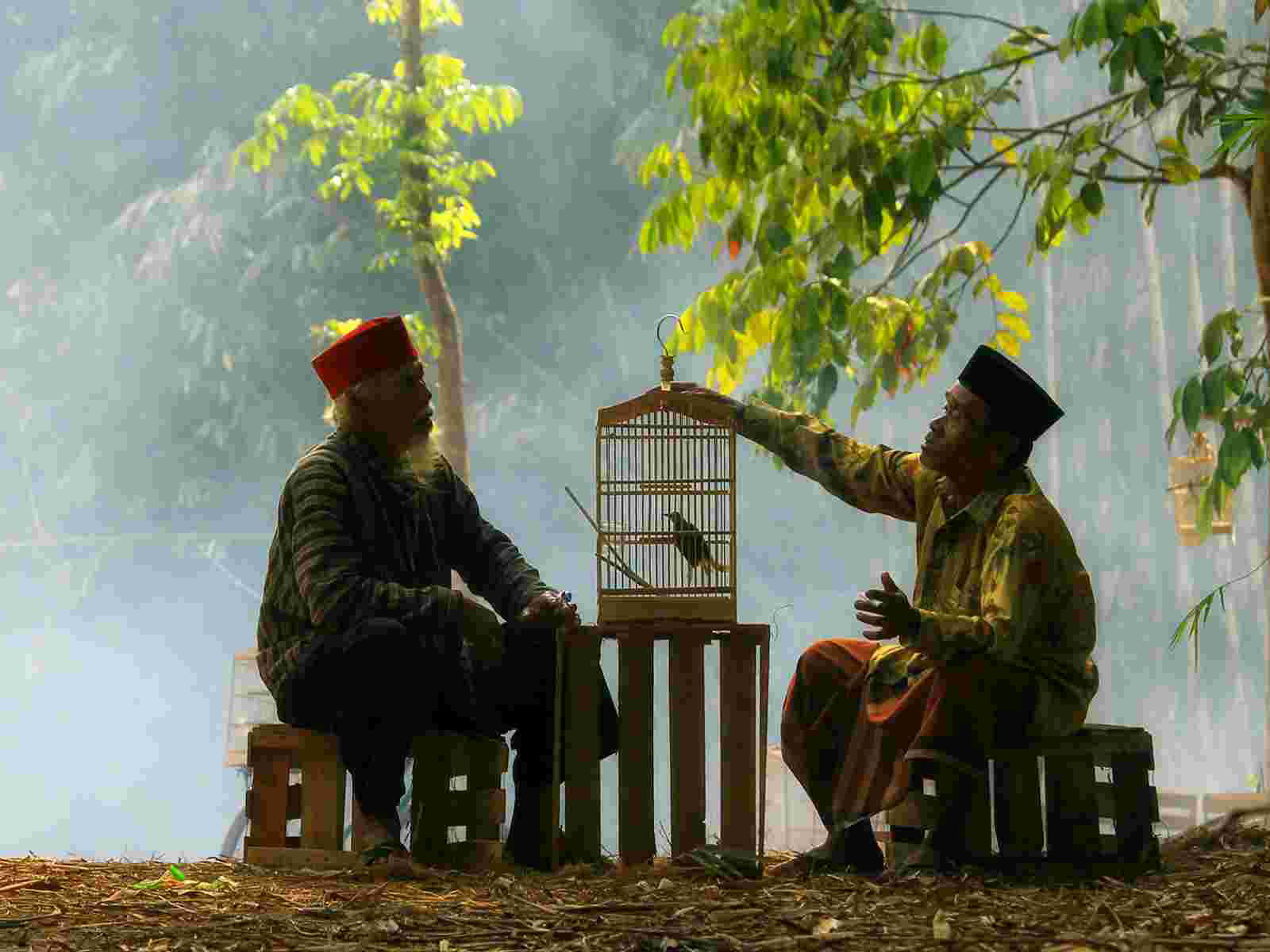 Old friends