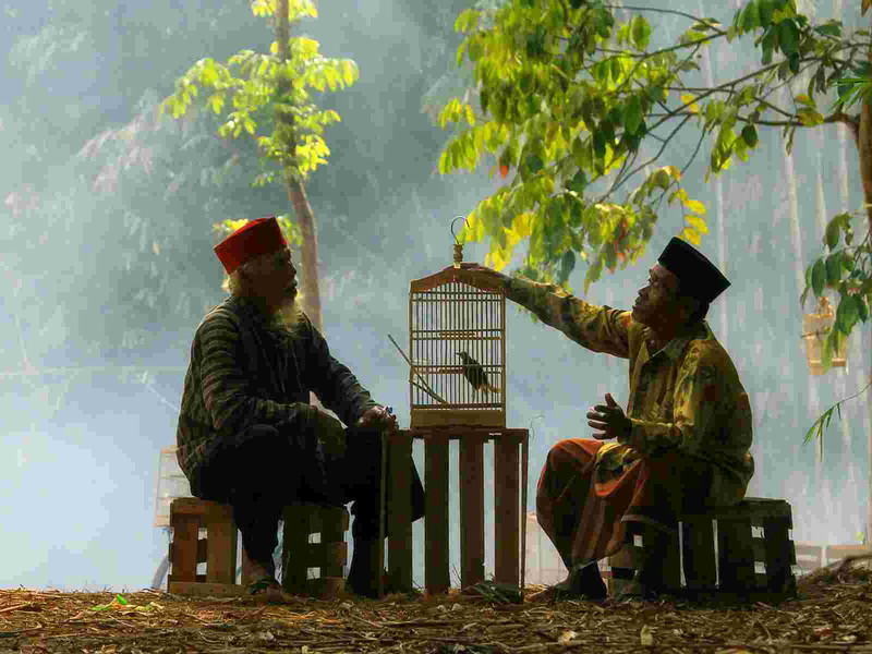Old friends