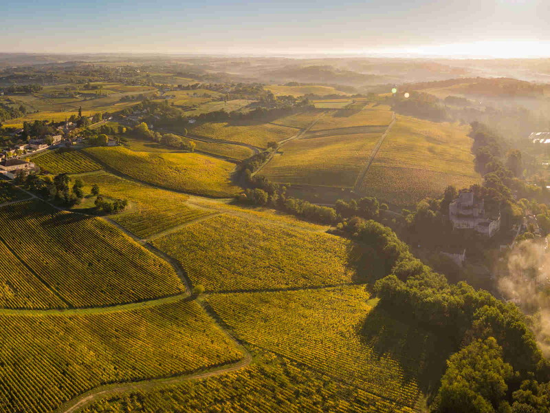 Bordeaux: Taking a Fresh Look&nbsp;