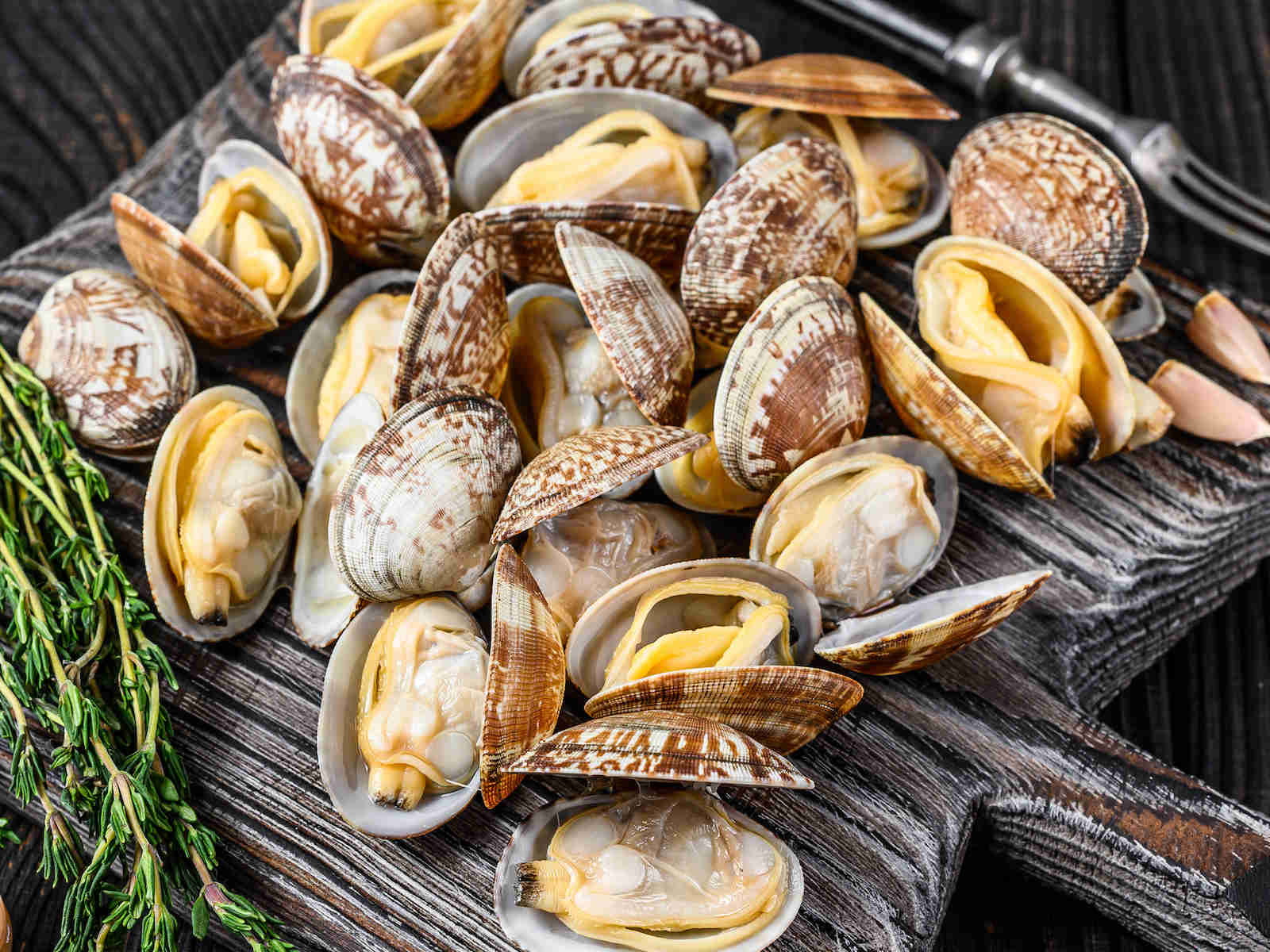 Clams