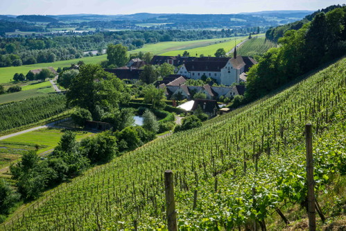 Das ehemaliges Kloster «Hotel Kartause Ittingen»