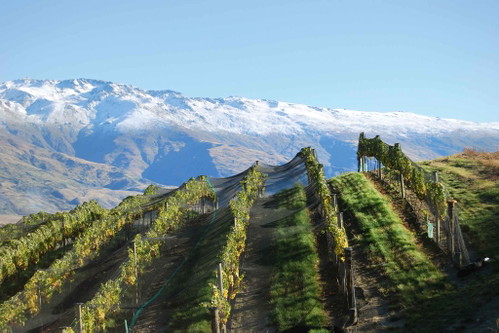Central Otago