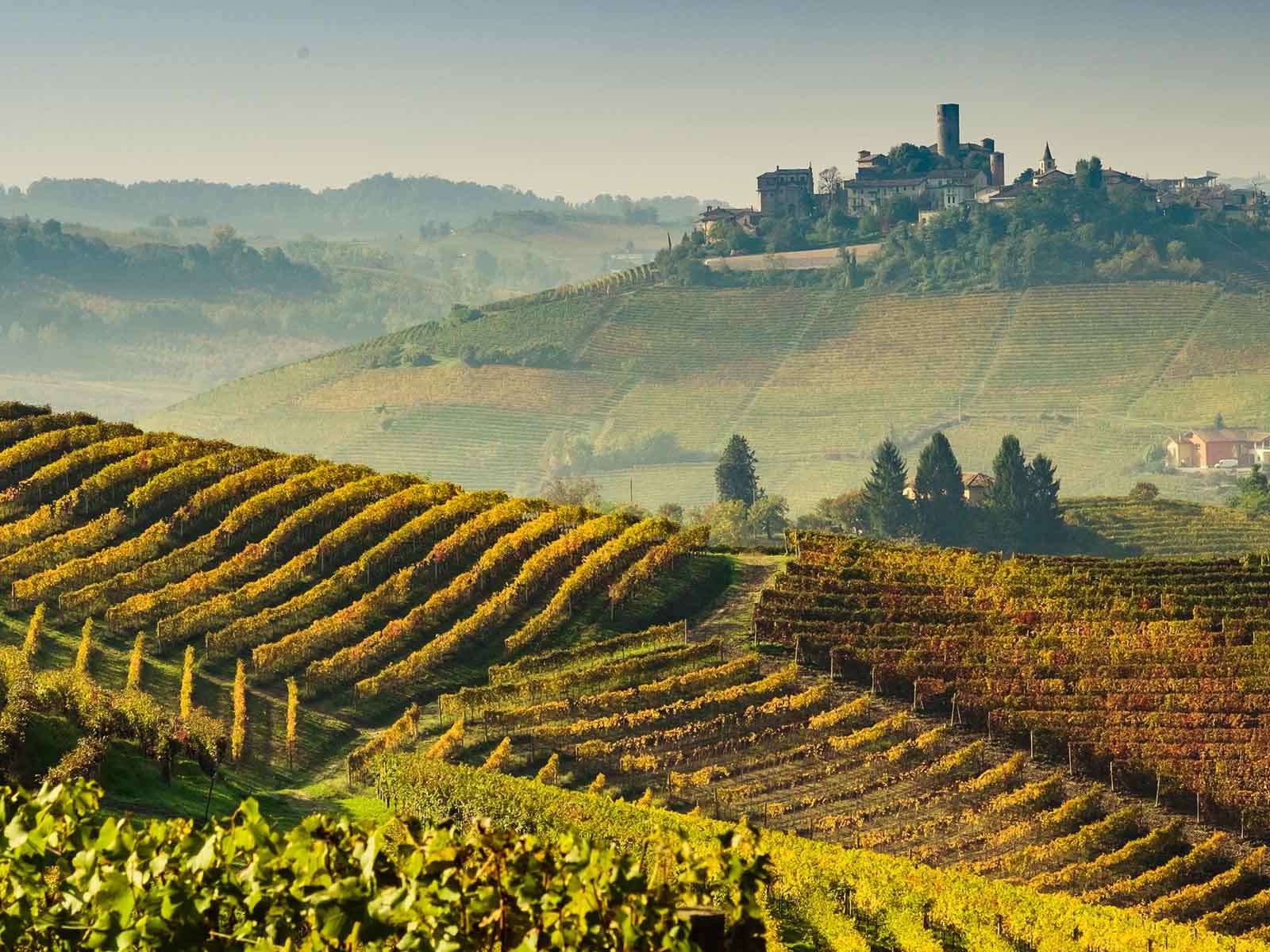 Die Hügellandschaft der Langhe ist für Nebbiolo perfekt.
