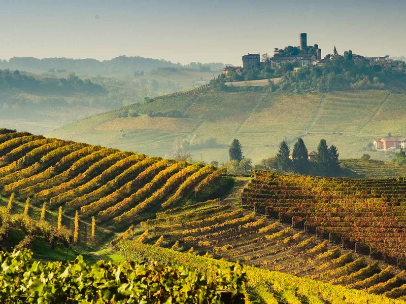 Die Hügellandschaft der Langhe ist für Nebbiolo perfekt.