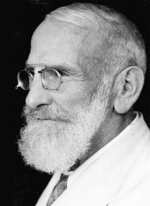Max Bircher Brenner