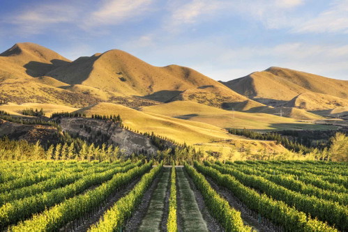Waipara Valley
