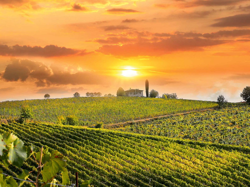 Die romantischen Sonnenuntergänge über&nbsp; den Weinbergen der Toskana laden dazu ein, die Seele baumeln zu lassen.