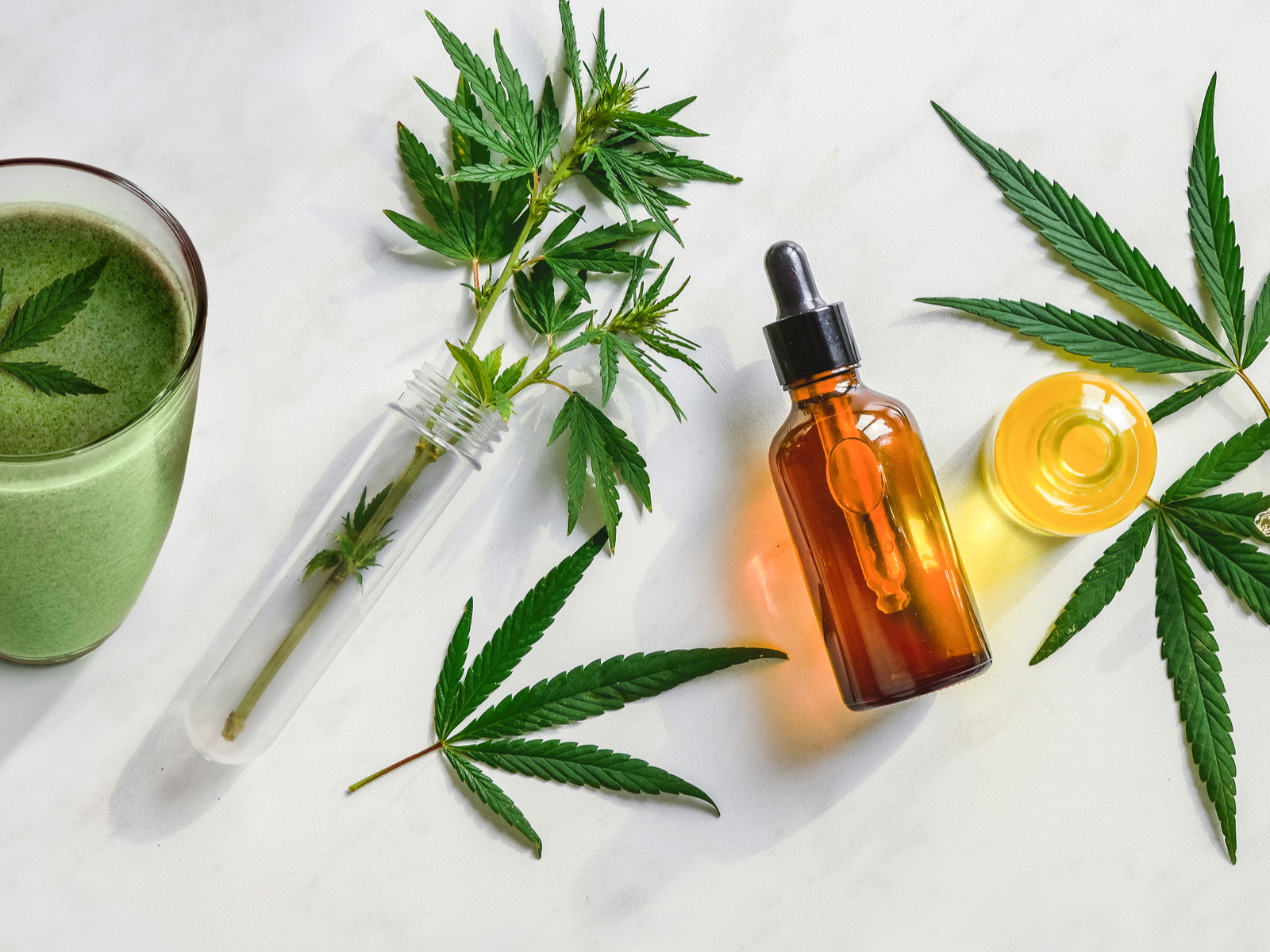 CBD drinks&nbsp;are gradually becoming&nbsp;popular