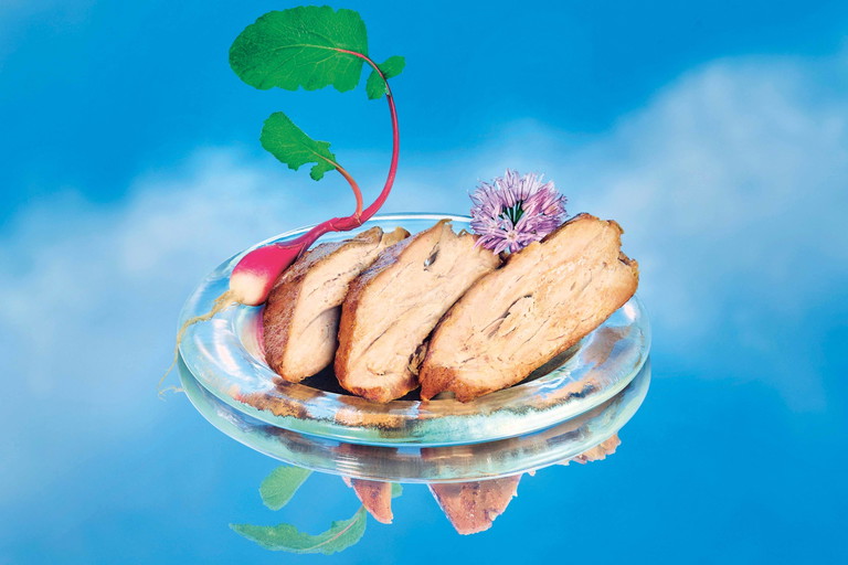 Radikale Innovation:&nbsp;Das Start-up&nbsp;»Air Protein« stellt &nbsp;mittels einer von der NASA genutzten Idee Protein in Pulverform her, aus dem zum Beispiel Rind- oder Schweinefleisch entstehen kann.