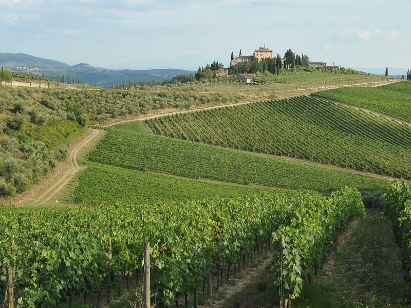 Typische&nbsp;Landschaft&nbsp;des&nbsp;Chianti Classico