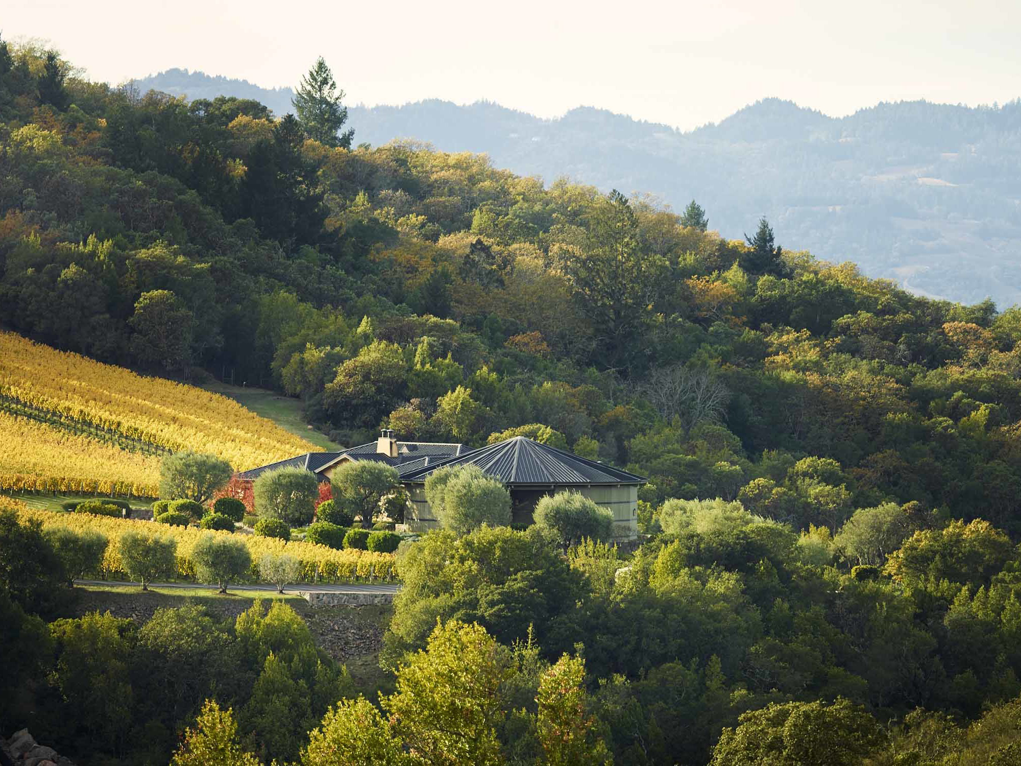 The Colgin Winery and the IX Estate Vineyard