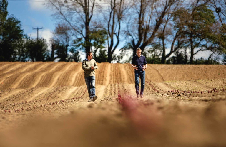 Auch in England sorgt der Klimawandel für neue Möglichkeiten im Weinbau. Namhafte Winzer sehen das Land schon als künftige Schaumweinhochburg. Die ersten prickelnden Schätze der »Domaine Evremond« sollen im Jahr 2024 auf den Markt kommen.