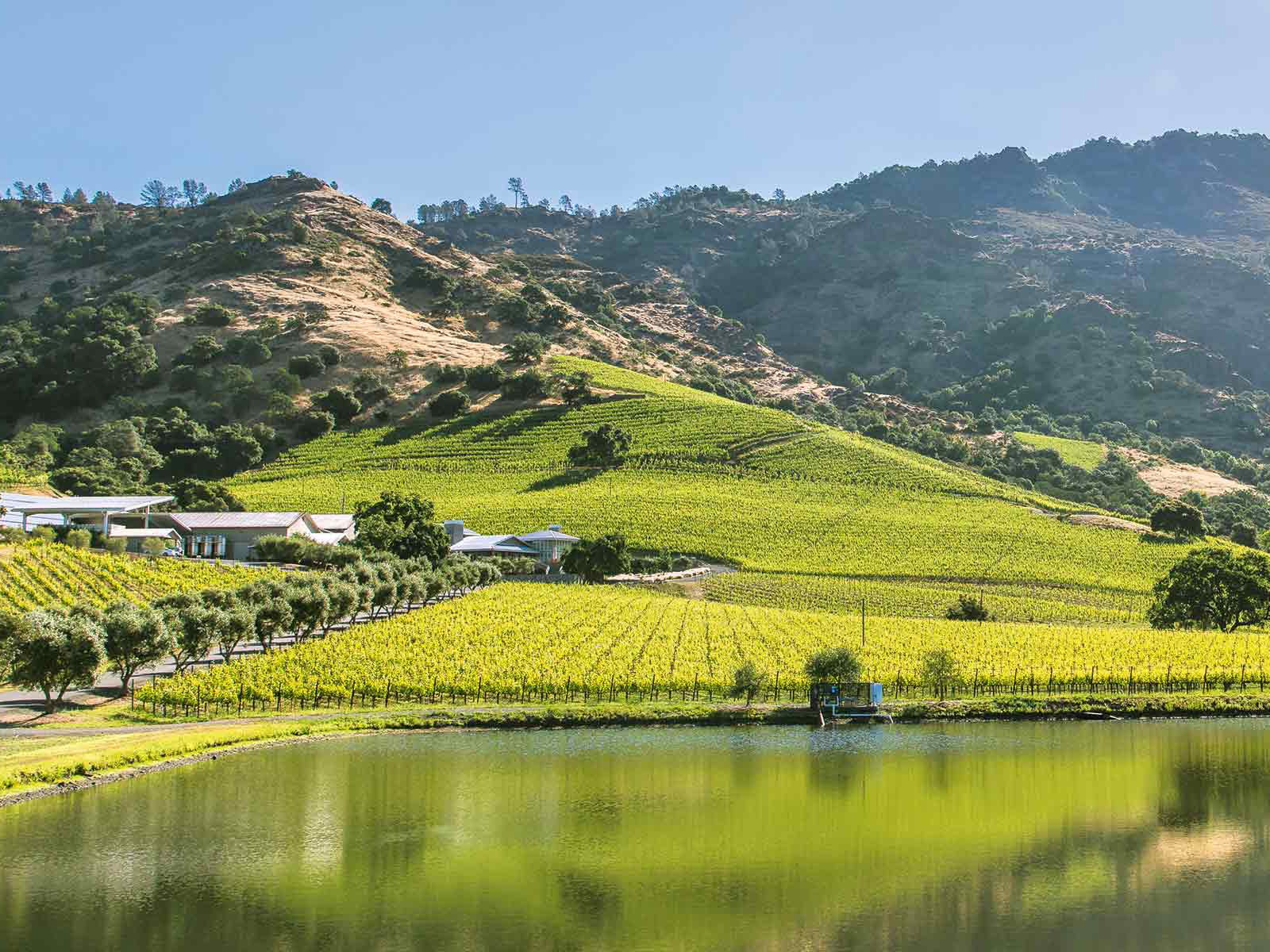 Shafer Vineyards im Stag's Leap District von Napa Valley.