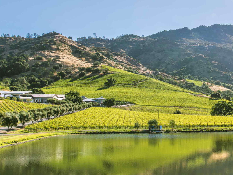 Shafer Vineyards im Stag's Leap District von Napa Valley.