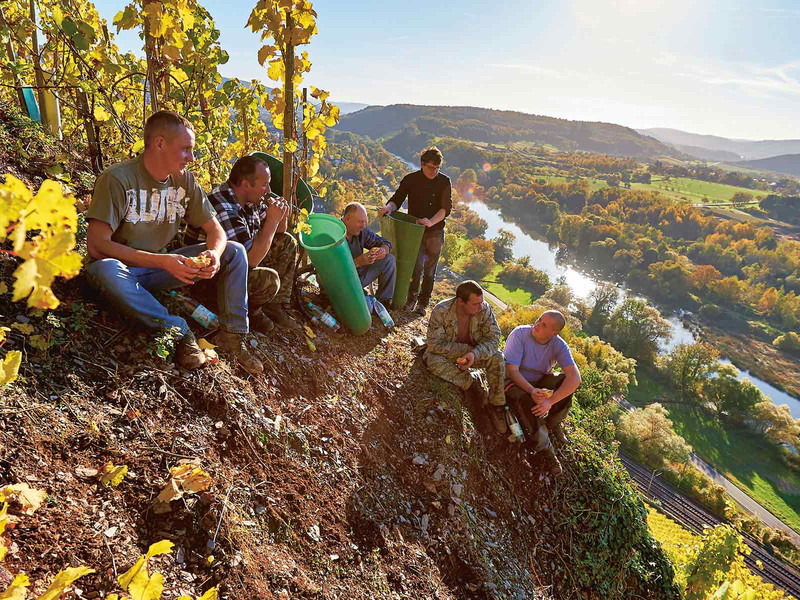 Das Weingut Van Volxem bewirtschaftet gut 85 Hektar bester Schiefersteillagen in fast allen Tälern der Saar. Die Jahresproduktion beläuft sich auf mehr als 600.000 Flaschen Wein.