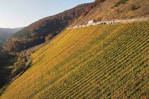 REVIVAL. Der deutsche Winzer Tobias Treis hat zusammen mit einem Studienkollegen aus Südtirol die einst aufgegebene Lage Sorentberg an der Mittelmosel reaktiviert und zusätzlich wieder aufgestockt – mit dem Ergebnis, dass die Trauben auch in kühlen Jahren fantastische Aromen entwickeln.