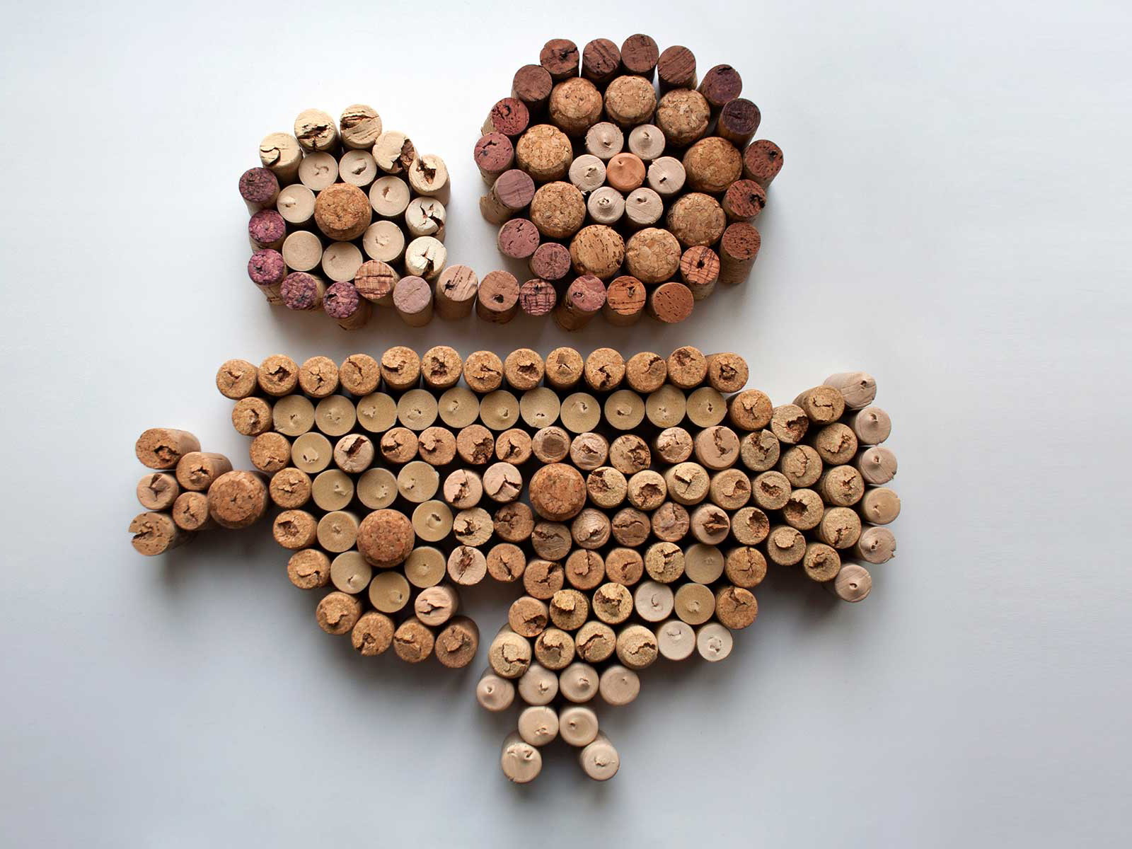 Cork, Wine, Camera