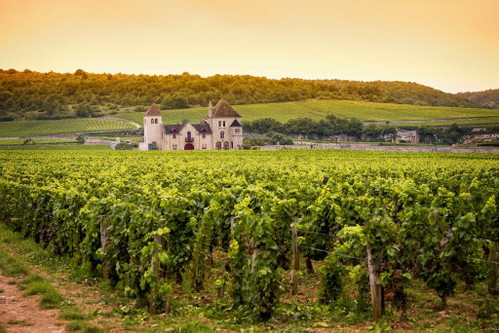 10. Burgundy, France