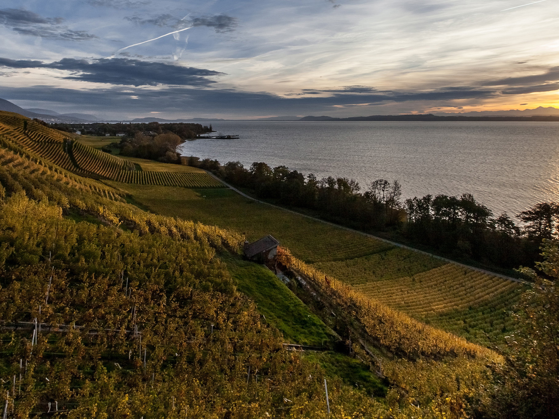 Weinlagen in der Region Neuchatel