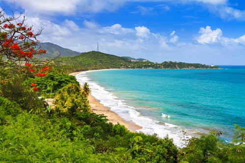 5. Puerto Rico