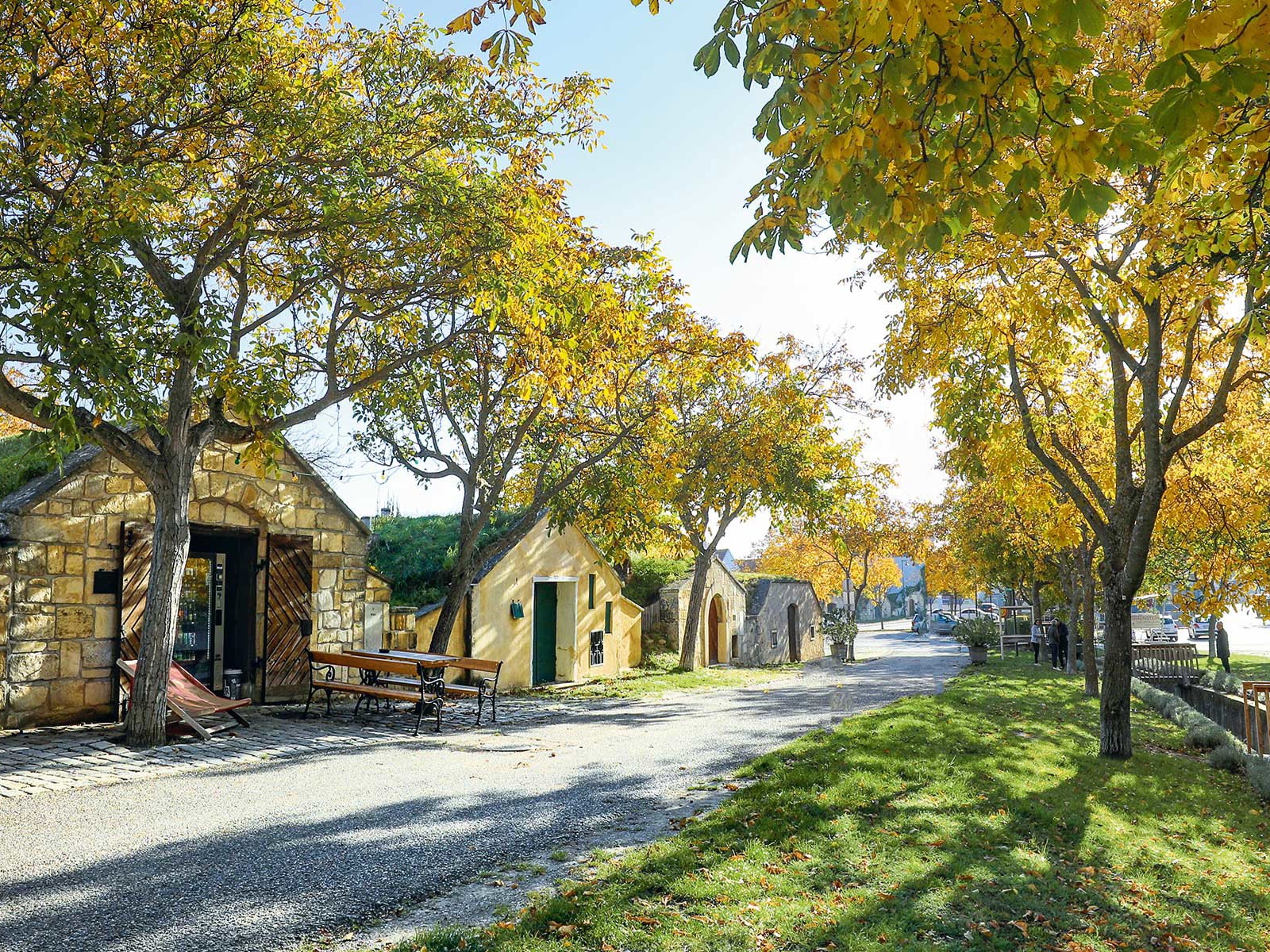 Lang gezogen und voller Genuss&nbsp;– die Kellergasse in Purbach ist ein Sinnbild dafür, was Wanderer und Radler erwarten dürfen.