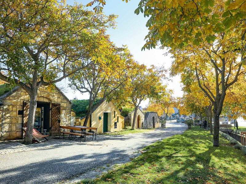 Lang gezogen und voller Genuss&nbsp;– die Kellergasse in Purbach ist ein Sinnbild dafür, was Wanderer und Radler erwarten dürfen.
