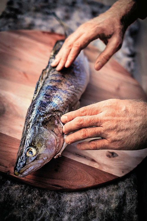 Der Zander ist zwar der beliebteste, aber bei Weitem nicht der einzige köstliche Speisefisch aus dem Neusiedler See. Probieren Sie auch einmal Wels, Karpfen oder Aal