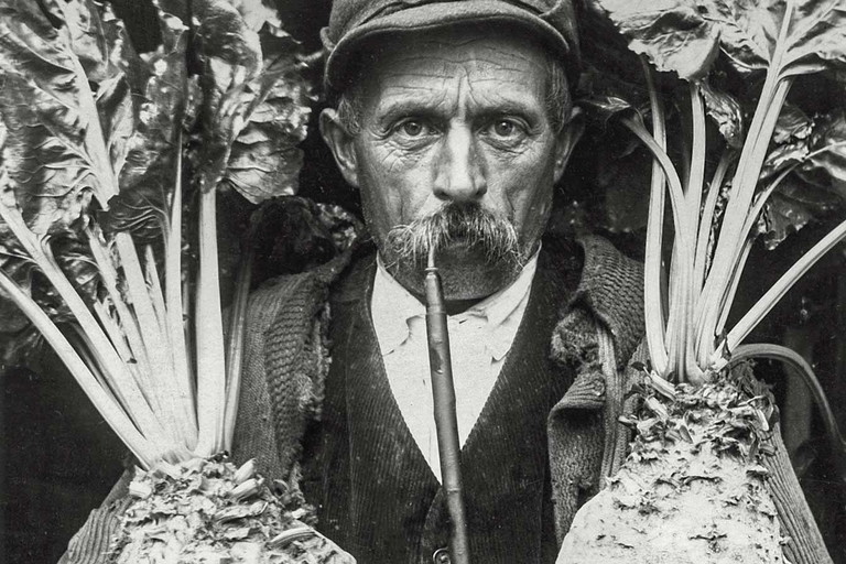 Lange Zeit galt das Burgenland als Armenhaus der Republik. Viele Burgenländer verdienten ihr karges Brot als Erntehelfer.