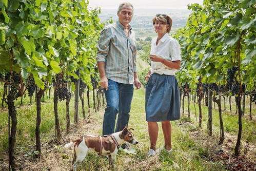Dem Verjus sind Heike und Gernot Heinrich grün&nbsp;– doch der saure Saft selbst muss es dank Zweigelt-Trauben nicht sein.