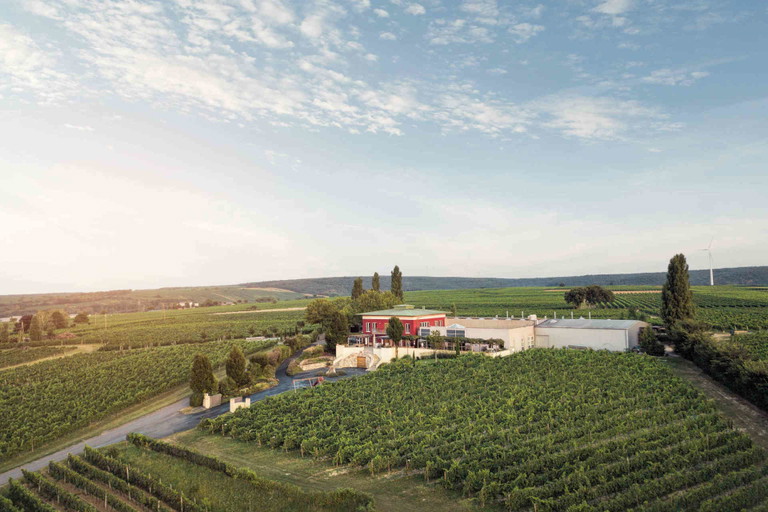 Das Weingut liegt in Deutschkreutz.